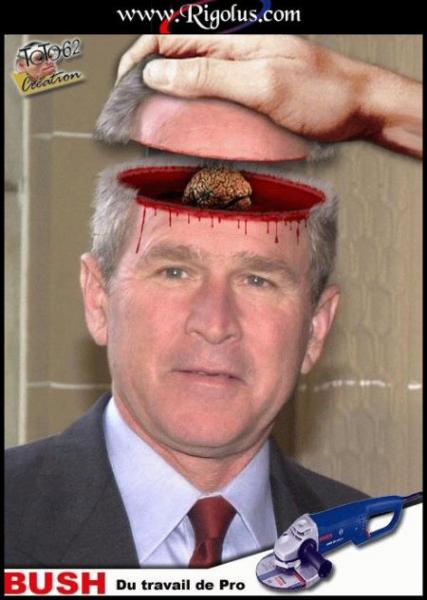 Bush